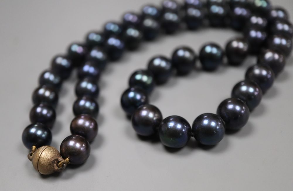 A modern single strand Tahitian cultured pearl necklace, 42cm and pair of similar earrings.